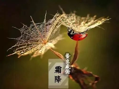 图片6.png 图片6.png
